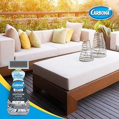 Carbona Outdoor Cleaner