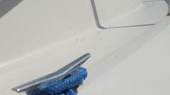 303 Marine Multi-Surface Cleaner for Vinyl & Canvas, 32 Oz | Removes Dirt, Grime