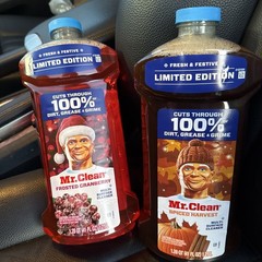 New Mr Clean Frosted Cranberry & Spiced Harvest Multi-Surface Cleaner Lmt Ed NEW