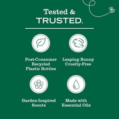 CLEAN DAY Liquid Dish Soap, Lemon Verbena, 16 fl. Oz