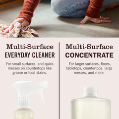 Mrs. MEYER’S CLEAN DAY Multi-Surface Everyday Concentrate, Rain Water Scent, 32