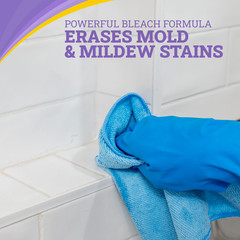 Zep Home Pro Mold and Mildew Stain Eraser and Cleaner 32oz