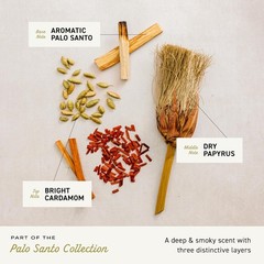 Exfoliating Body Bar for Men, Palo Santo Scent, Multi-Layered Fragrance That