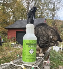 Meyers Fresh Cut Grass Scent All purpose cleaner (2 Pack!!!)