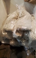 Member’s Mark Commercial #24 Blended Mop Head (12 pk.) – (SW40)