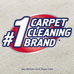 Professional Carpet Cleaner Stain & Odor Remover 32 Ounce Bottle Instant Cleaner