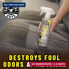 Chemical Guys Lightning Fast Carpet Upholstery Stain Extractor Cleaner 32 fl oz
