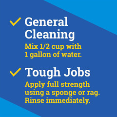 Fraganzia Multi-Purpose Cleaner Pro Spring Scent 175 Fluid Ounces