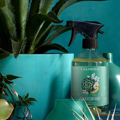 Caldrea Multi-Surface Countertop Spray Cleaner, Made with Vegetable Protein Extr