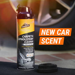 Fresh Fx 22 Oz. Power Foam Carpet and Upholstery Cleaner – New Car Scent