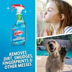 Windex 23 Fl Oz Glass Cleaner – Streak-Free Shine in Recycled Bottle