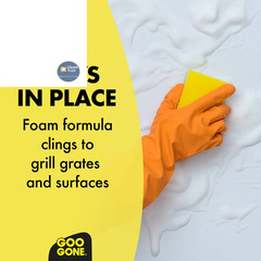 Goo Gone Grill and Grate Cleaner Spray (2 Pack) Cleans 24 Fl Oz (Pack of 2)