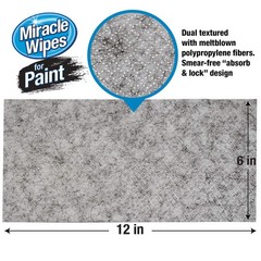 for Paint Prep & Cleanup, Remove Tough Grime Build-Up, Wet Paint, Caulking, E…