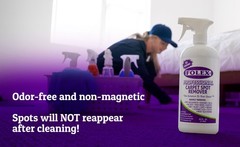 FOLEX Professional Carpet Spot Remover, 34oz