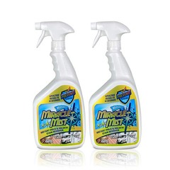 Instant Cleaner for Indoor and Outdoor Use, 32 oz | 2 Pack 64 OZ Spray