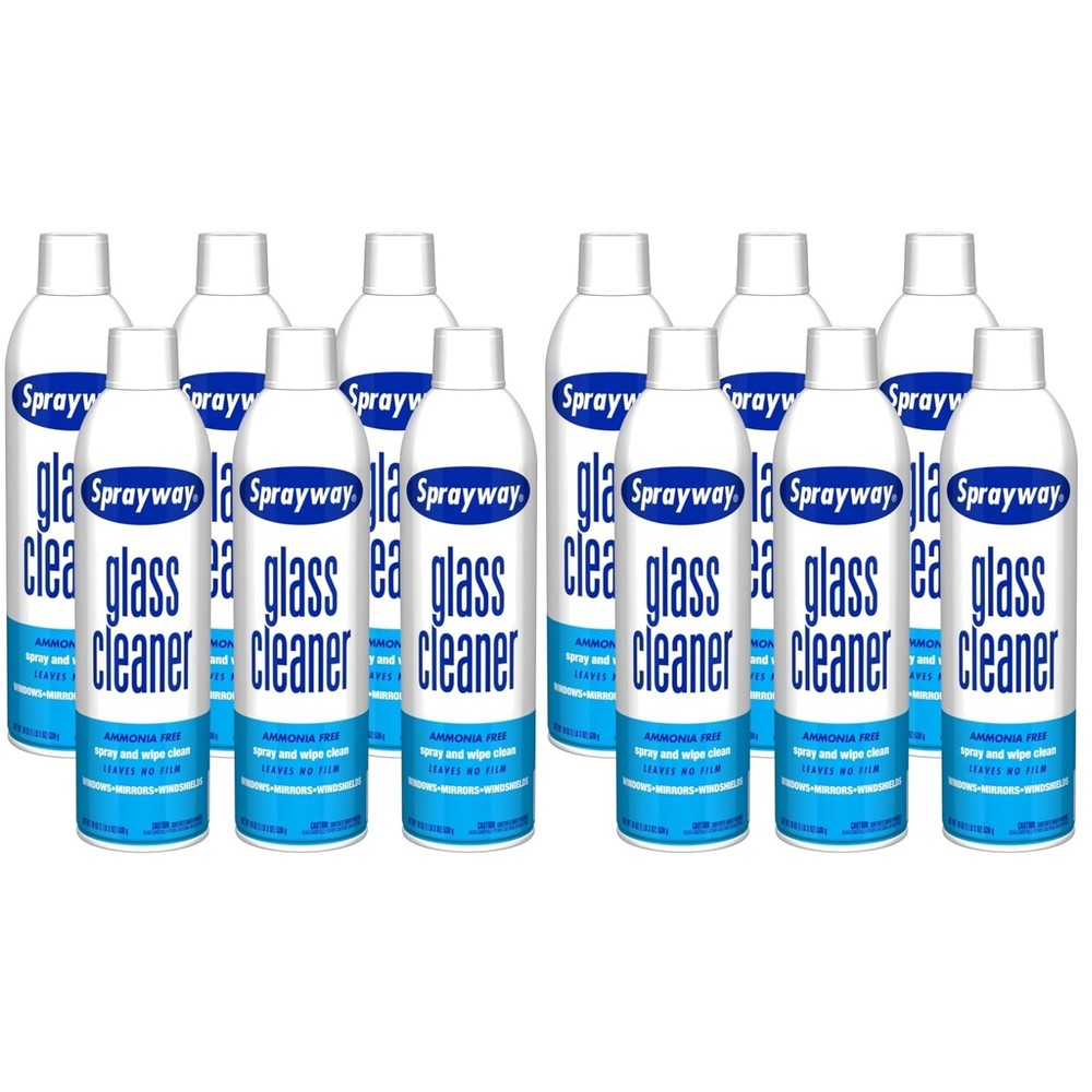 Foaming Glass Cleaner for Home & Auto Use, 19 oz x12