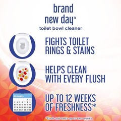 Lysol Click Gel Automatic Toilet Bowl Cleaner – Mango & Hibiscus – 24 Applicator