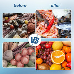 Fruit and Vegetable Purifier Washer Machine OH-Ion Wireless Food Cleaner Blue