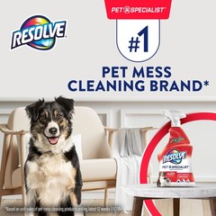 Pet Specialist Stain & Odor Remover Spray – Pet Stain and Odor Remover, Carpe…